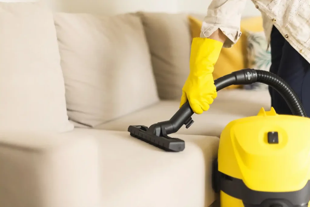 how to deep clean sofa at home