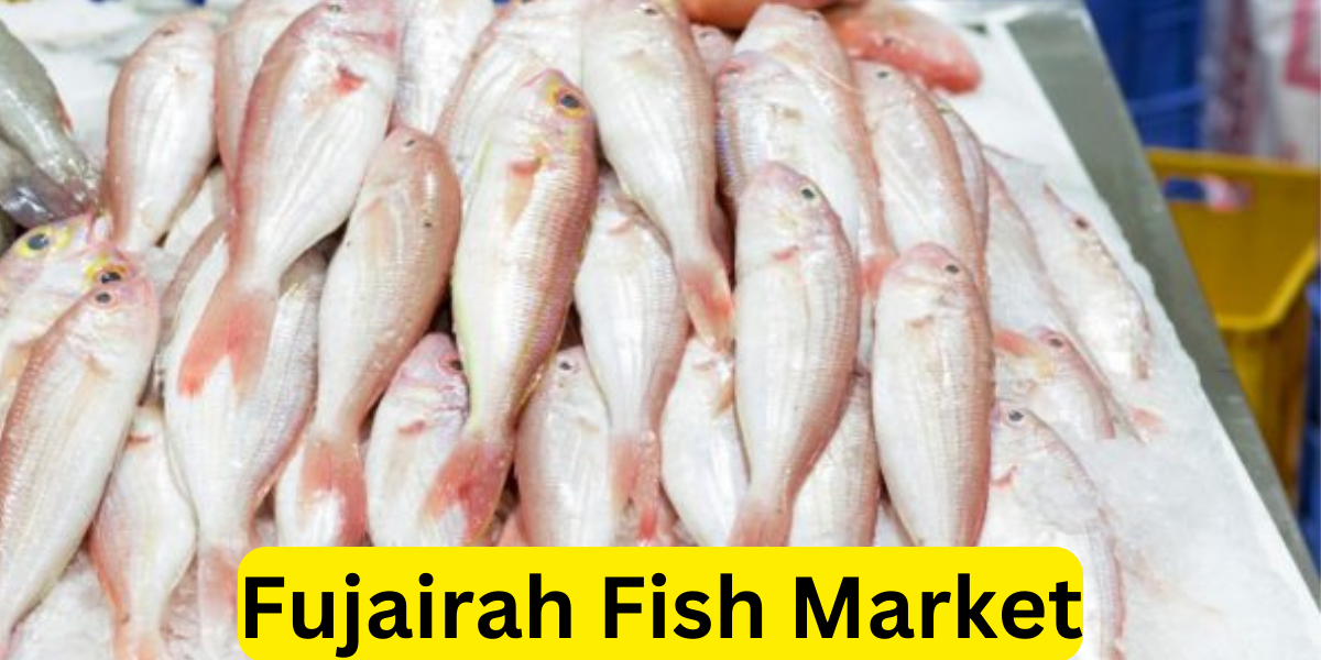 Fujairah Fish Market