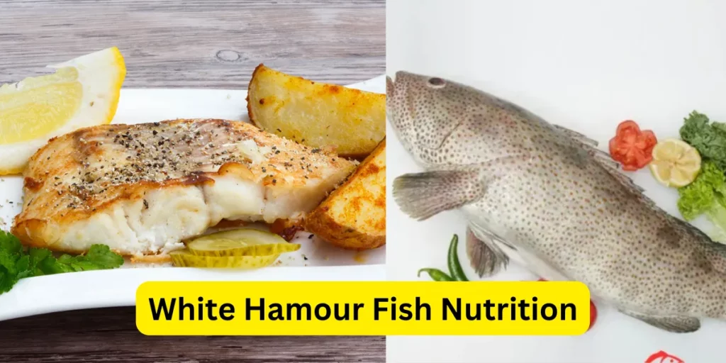 White Hamour Fish Nutrition