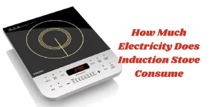 how much electricity does induction stove consume (1)