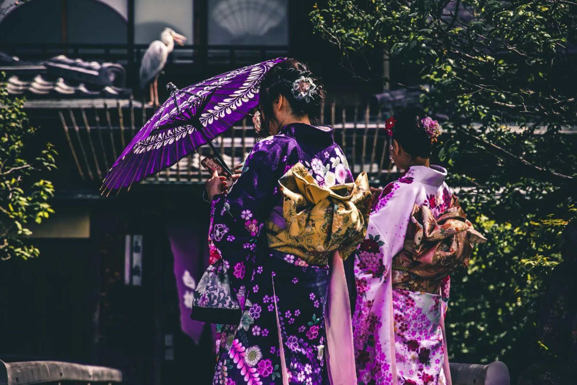 Geisha Legacy Uncovering the Secrets of Kyoto’s Gion District
