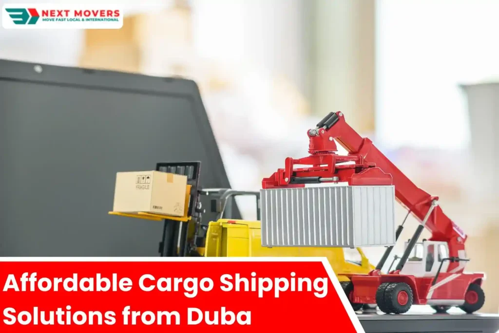 Affordable Cargo Shipping Solutions from Duba