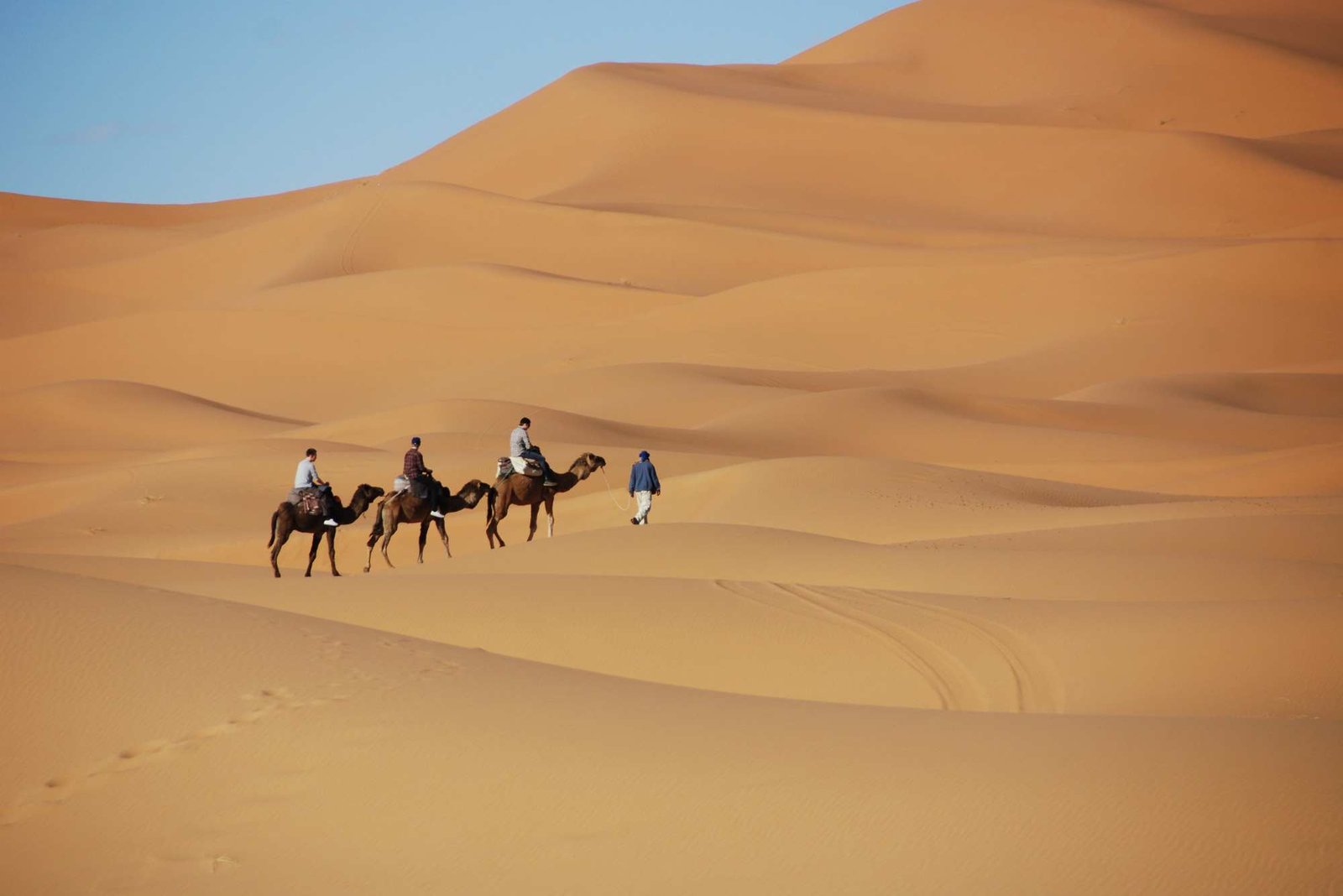 How to Dress for a Camel Ride: Essential Tips for Comfort & Safety