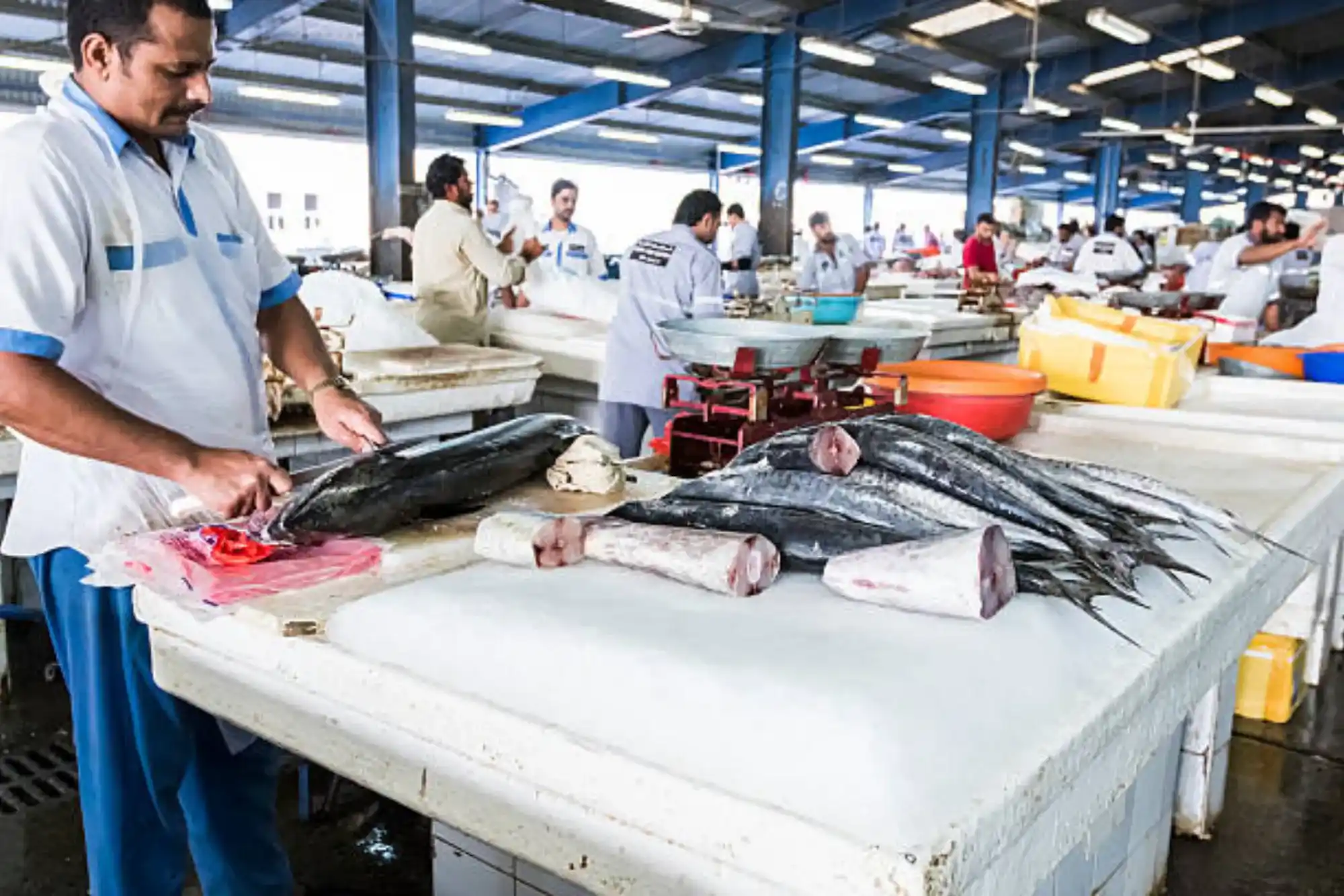 Beginners Guide to Seafood Sultan Fish in Dubai