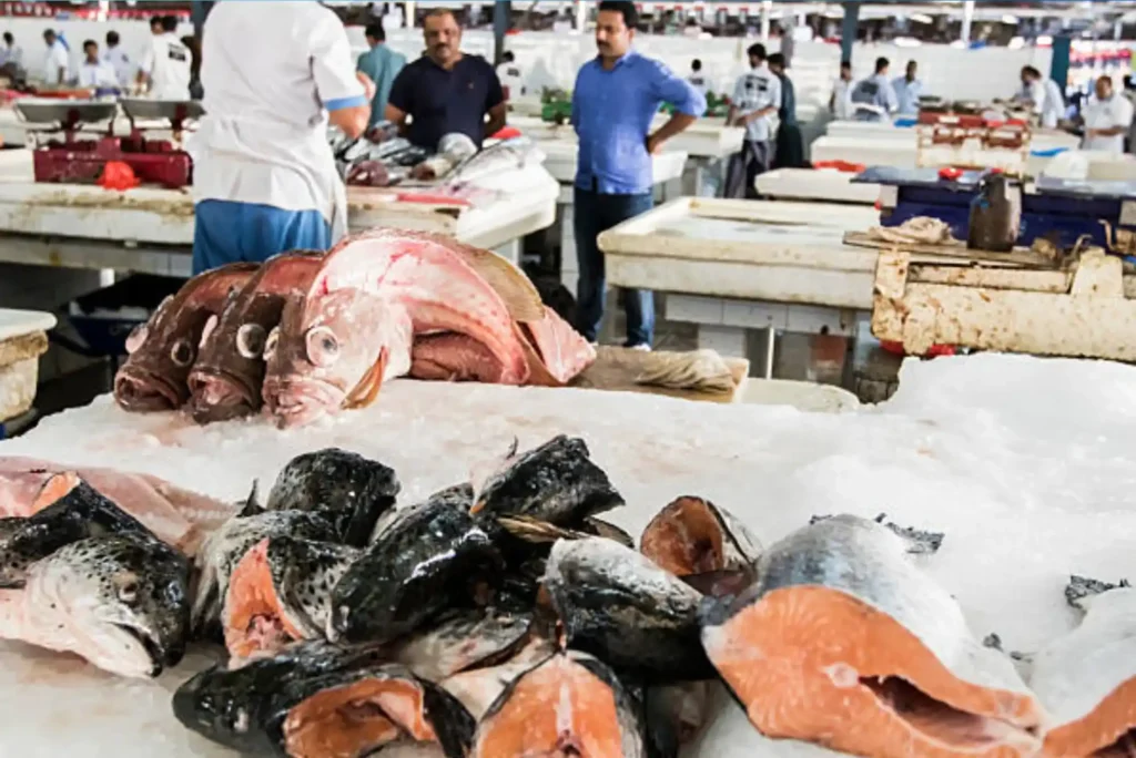 Secret Tips from United Fish Dubai Experts