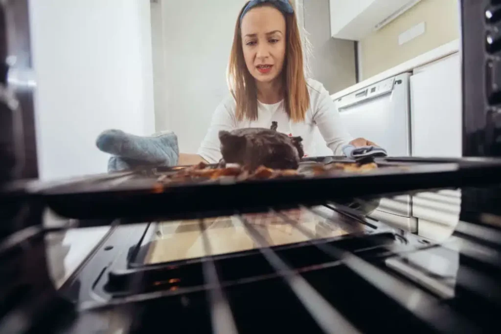 Oven Burning Food Issue Repair