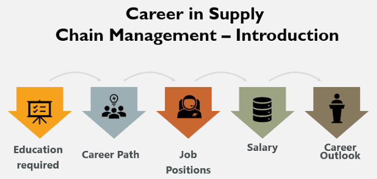 Supply Chain Career Path